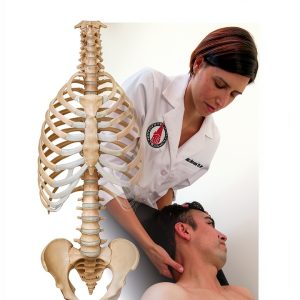 Thieme Osteopathy Kindle Edition 63.99-0
